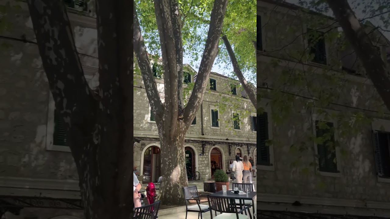 Pod Platanima, Hotel Platani, Trebinje #platani #trebinje #plane
