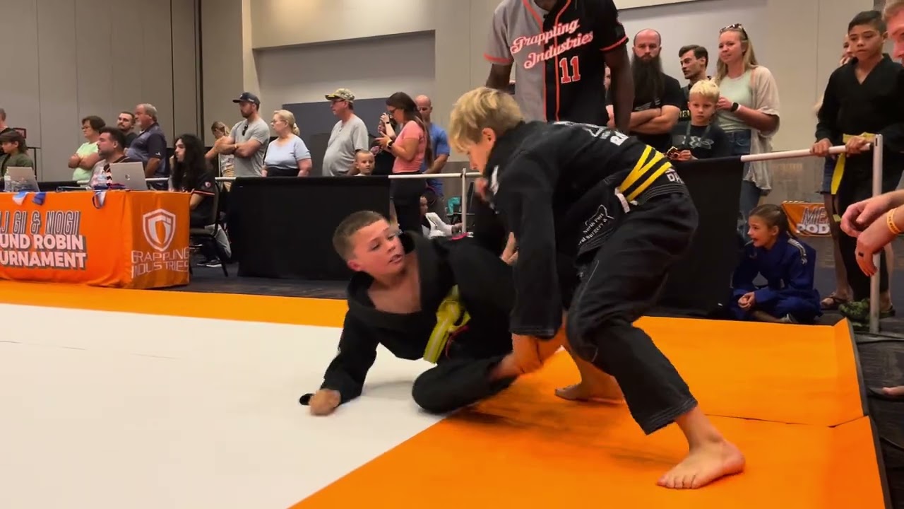 High-Level BJJ Sweep