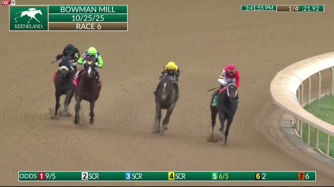Gallivant (Into Mischief) - Bowman Mill Stakes ($250,000) - Keeneland