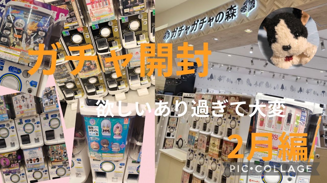 2月　ガチャ開封‼️　欲しいの探し回った結果………