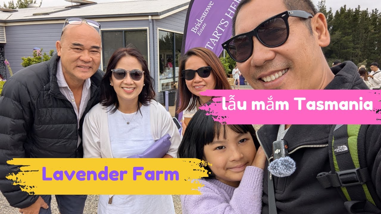 CÁCH ĐỒNG HOA LAVENDER (OẢI HƯƠNG) HÙNG VĨ Ở TASMANIA