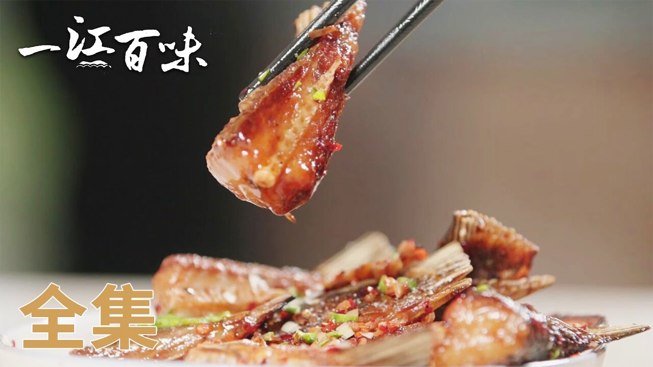 【一江百味】01-10全集 迤逦风光，山珍湖鲜，探寻资江美食的万千风味🤩 | 腾讯视频 - 纪录片