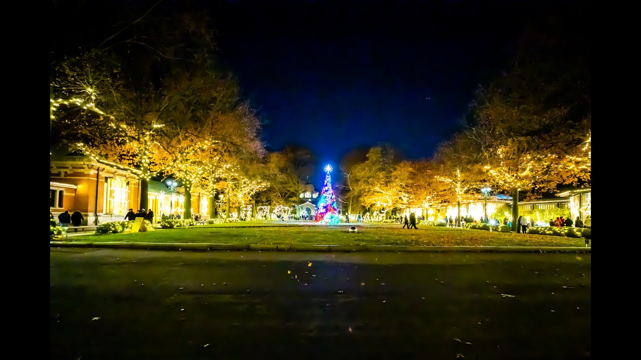 The Bronx Zoo Holiday Lights - Full Event Overview and Review