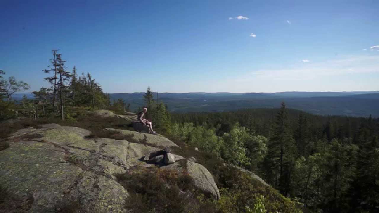 Oslo - where the locals go