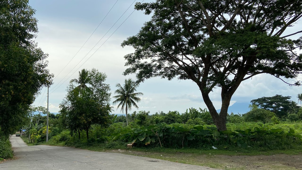 Vlog384: 2.7 HECTARE FARM LOT FOR SALE LIPA CITY BATANGAS PHILIPPINES SOLD