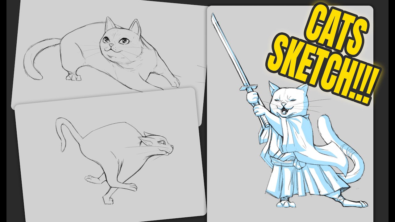 SKETCHING CATS!!! 🐱​🐱​🐱​