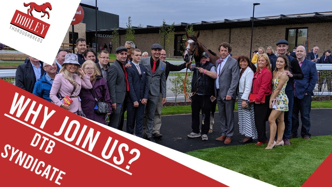 Why Join Dooley Thoroughbreds? | The Benefits With Our Syndicate
