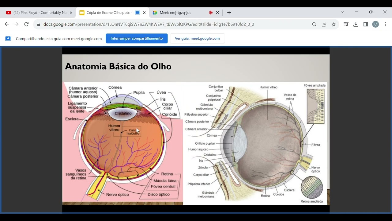 Semiologia do Olho - Aula Teórica