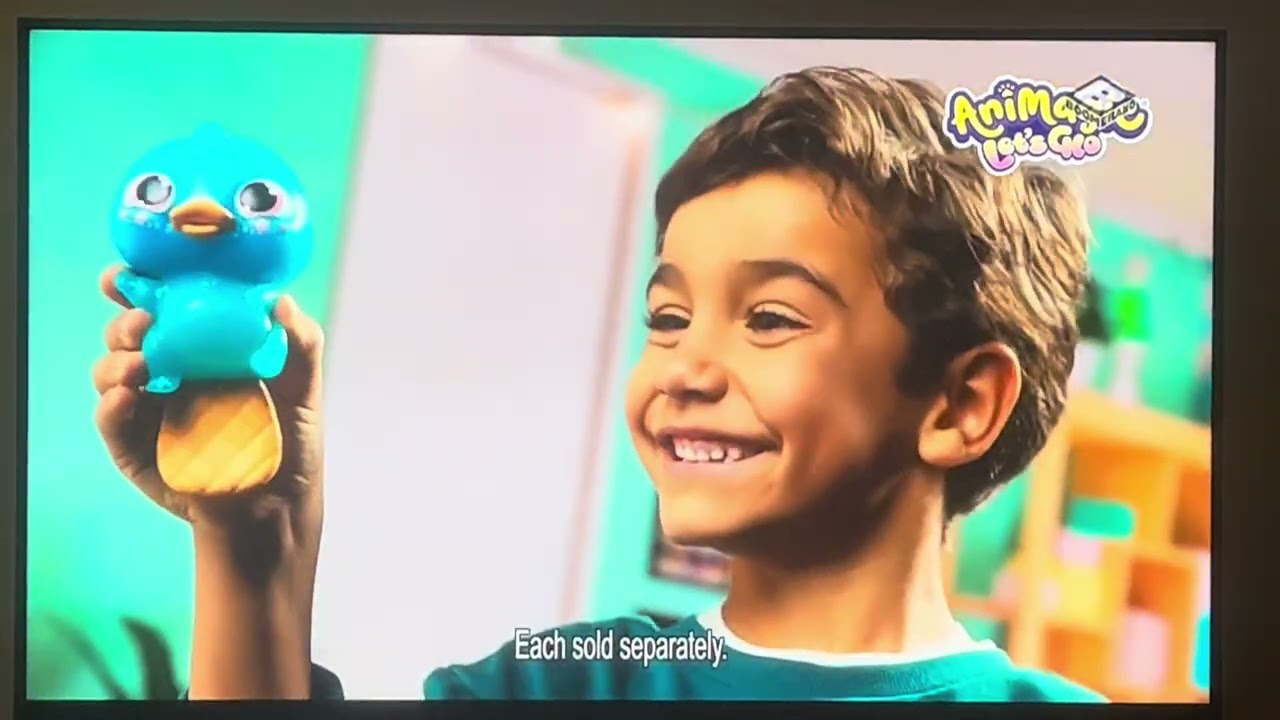 Boomerang Adverts 24/02/2026