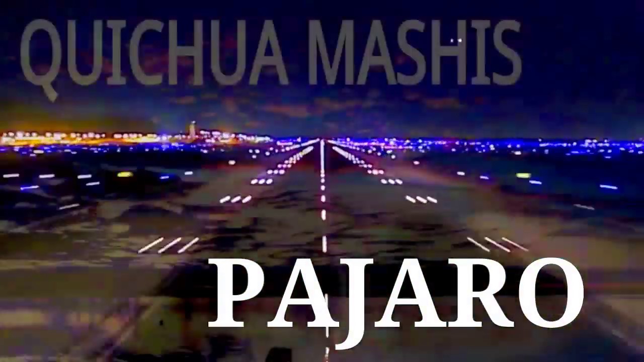 PAJARO【San Juanito】Quichua Mashis