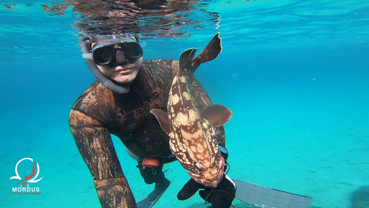 Chasse sous marine dans le Var à St Cyr avec Baptiste. Sauvetage d'un mérou. Spearfishing, PescaSub
