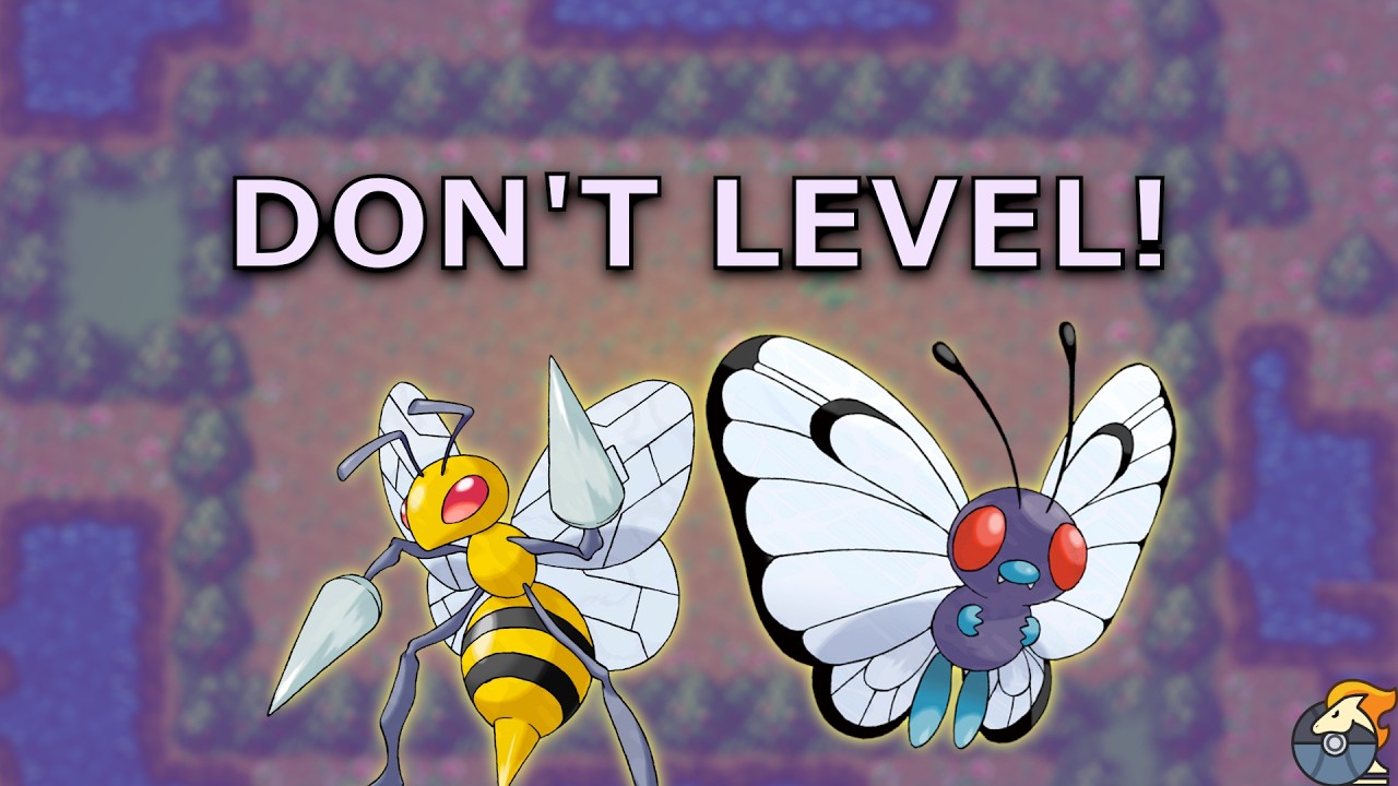 Pokemon Auto Chess Room for Improvement: 