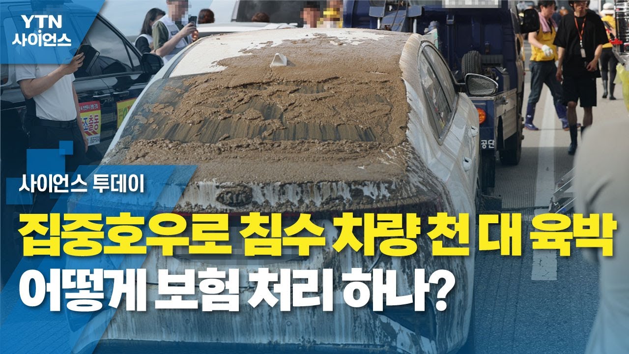 집중호우로 침수 차량 천 대 육박...어떻게 보험 처리 하나? / YTN 사이언스