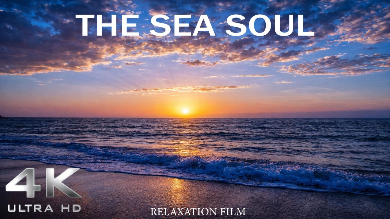 Relaxing Ocean Waves at the Shoreline | Peaceful Sea Sounds for Stress Relief