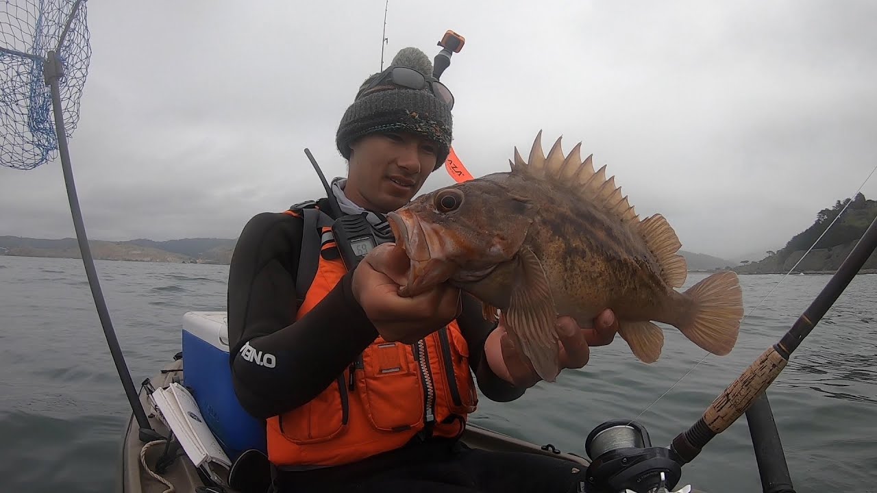 The EASIEST WAY to Catch Big ROCKFISH, Subscriber Swimbait Special!