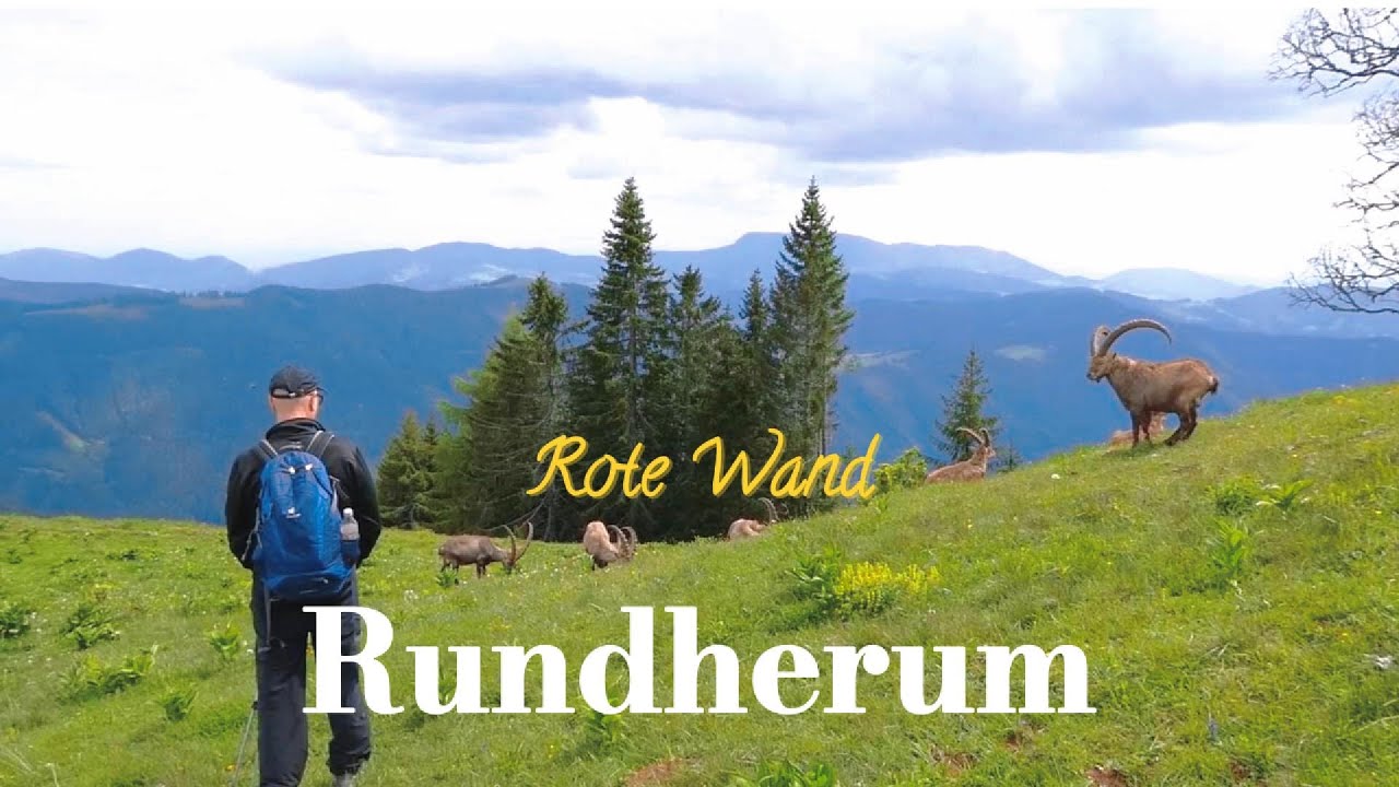 Rundherum Rote Wand | Steinbockparadies | Grazer Bergland