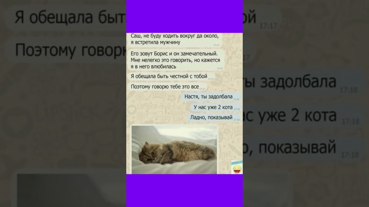 Кот лучше  Бориса #смех #мем #юмор #funny