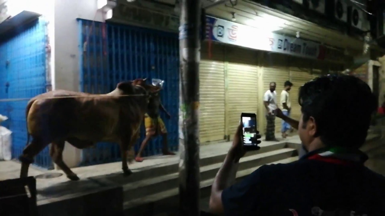 Last Night Unloading 2 Giant || Bring From Sadeeq Agro