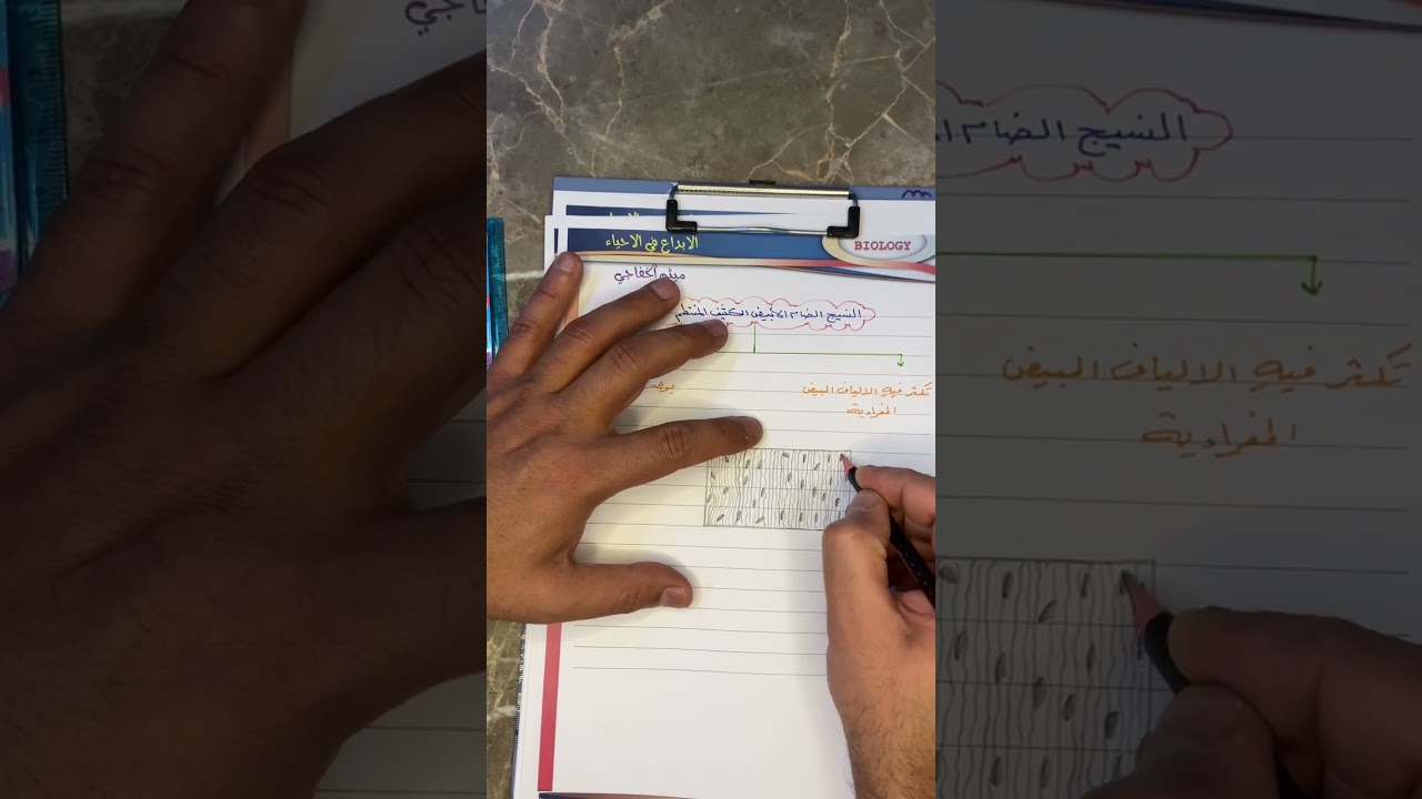 رسم النسيج الضام الابيض الكثيف المنتظم