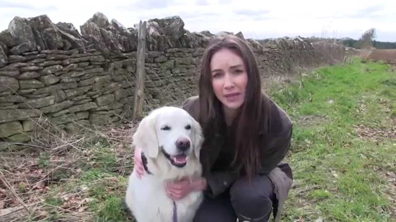 FG take the lead: Dog training to avoid cases of sheep worrying