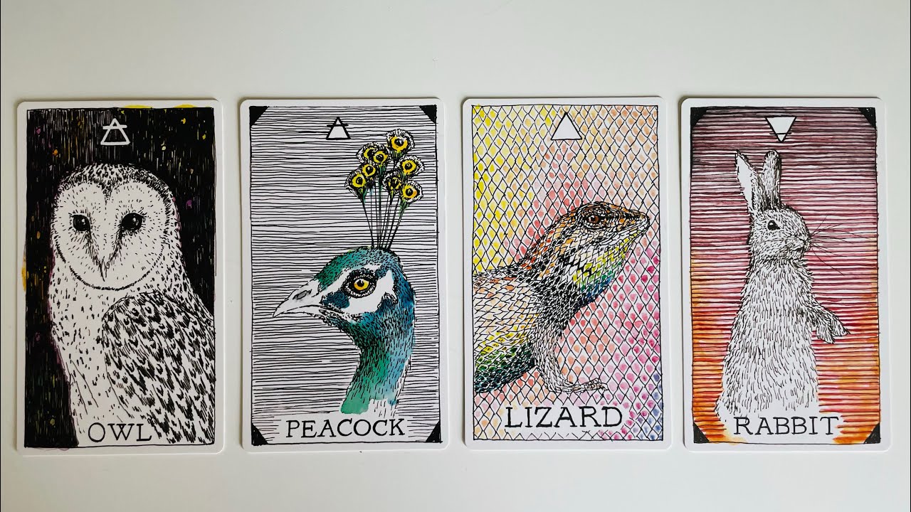 Let Me Describe You - Pick a Card - Timeless Tarot