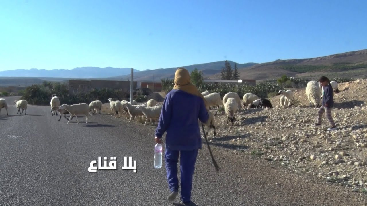 bila kinaa | !! راعية الأغنام بألف مسؤول..الدولة لي خلتني عطشانة وسلمت فيا باش نسلم فيها ونحرق