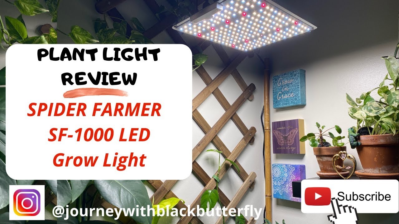 Plant Light Review: Spider Farmer SF-1000 // Corner Makeover