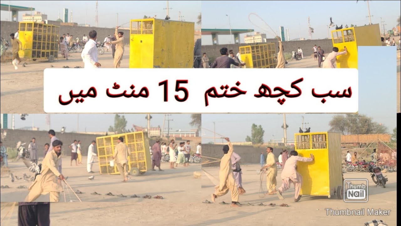 15 Mint Mai Sub kuch Khatam Barbadi Wala Muqabla Sary Kaboter  Beth Gye Aj To