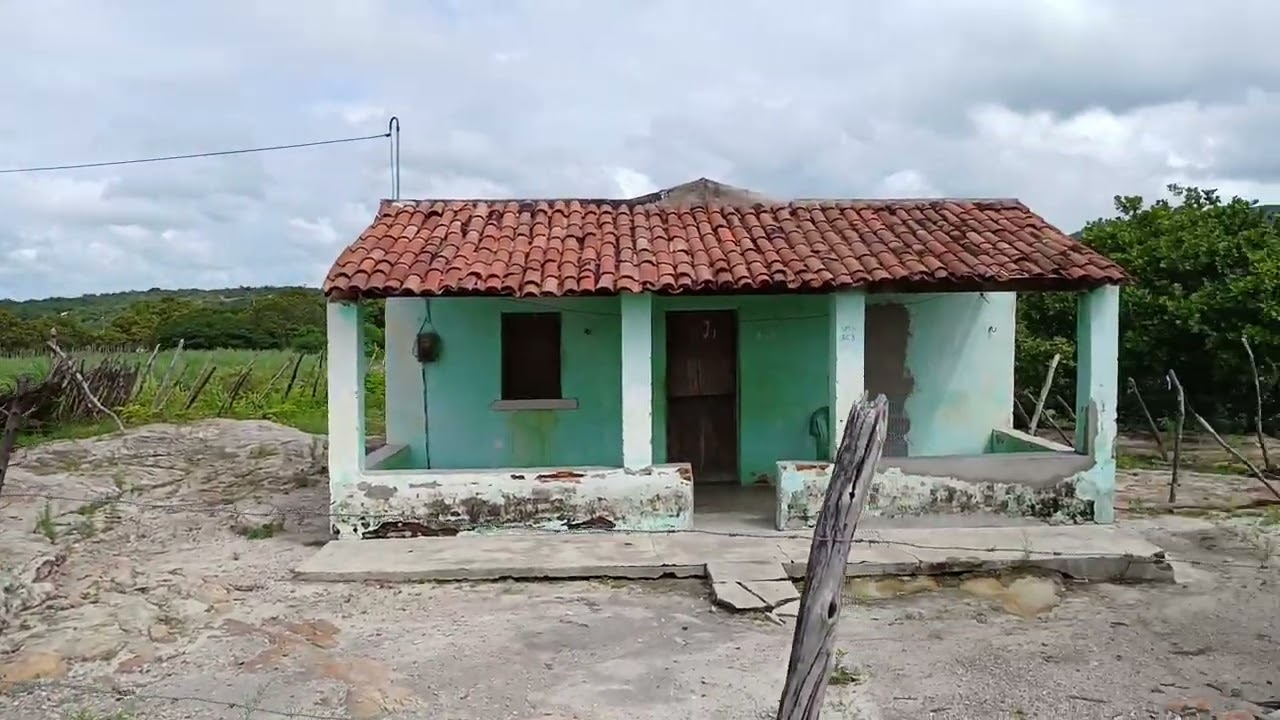 lindo lindo