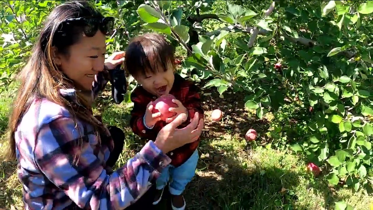 2022 Oct - Battleview Orchards PART 1
