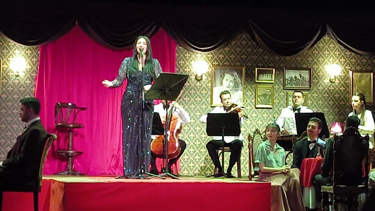 Burcu Göktürk 