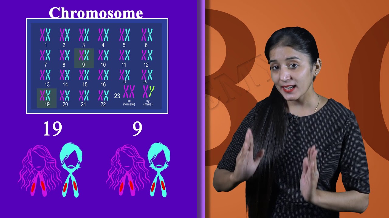 Heredity and Evolution 05: How Blood Groups are Inherited (CBSE Class X Biology)