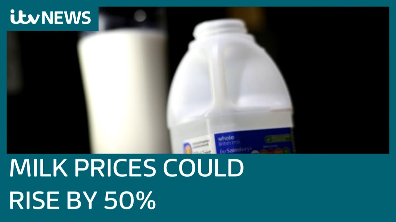 Milk prices could skyrocket by 50% as farmers hit with soaring production costs | ITV News