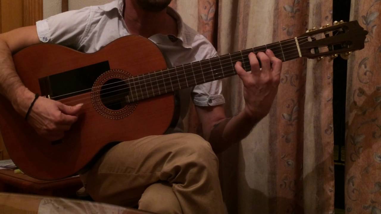 Aprende como tocar la cancion de el bicho (letras)