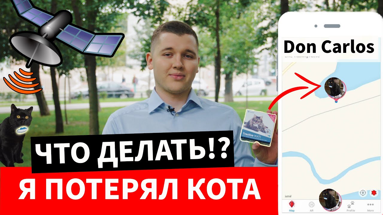 GPS Трекер Для Кошек и Собак [Tractive, Пропала Собака, Pet911, Выгул, Gps Ошейник Для Собак]