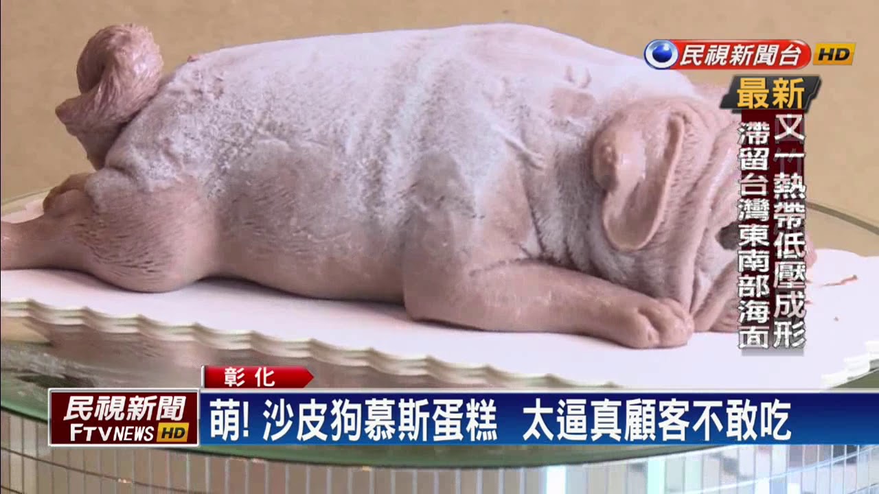 萌! 沙皮狗慕斯蛋糕  太逼真顧客不敢吃－民視新聞