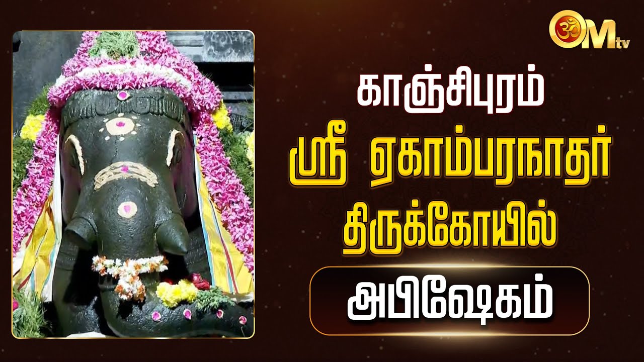 காஞ்சிபுரம் ஸ்ரீ ஏகாம்பரநாதர் கோயில் - ஸ்ரீ விநாயகர் அபிஷேகம் | Sri Ekambaranathar Temple | OM TV