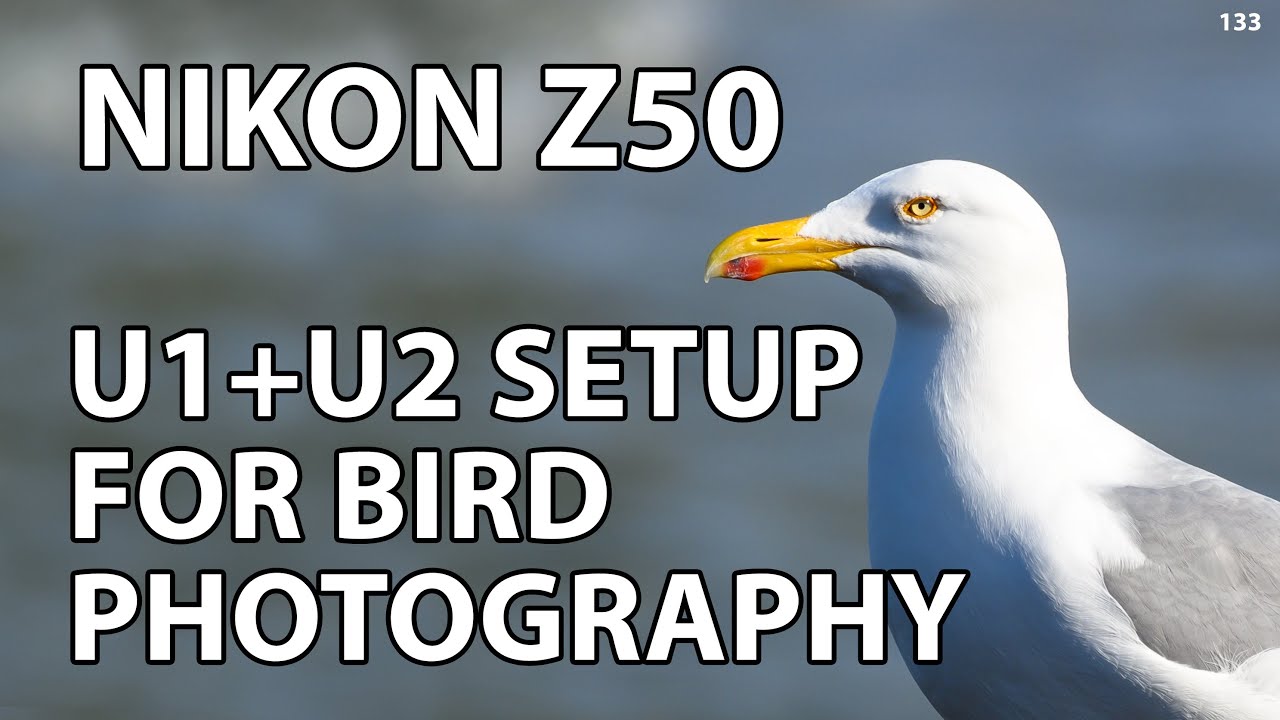 Using U1 and U2 on the Nikon Z50 for bird photography
