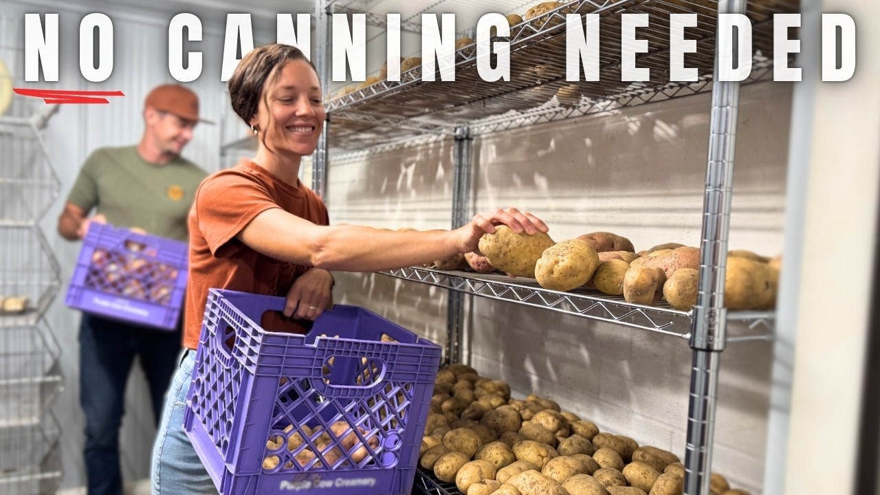 The Simple Secret Behind Our FOOD SECURITY (food for an entire year)