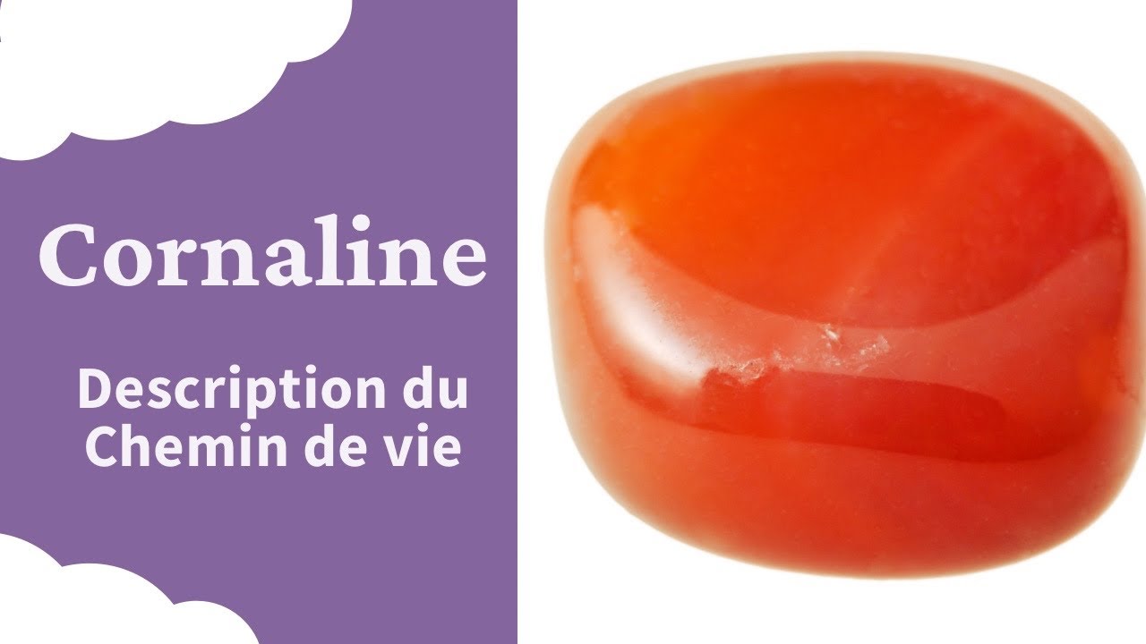 Cornaline dans Bracelet Chemin de vie Explication Signification Comment interpr&eacute;ter en Lithoth&eacute;rapie
