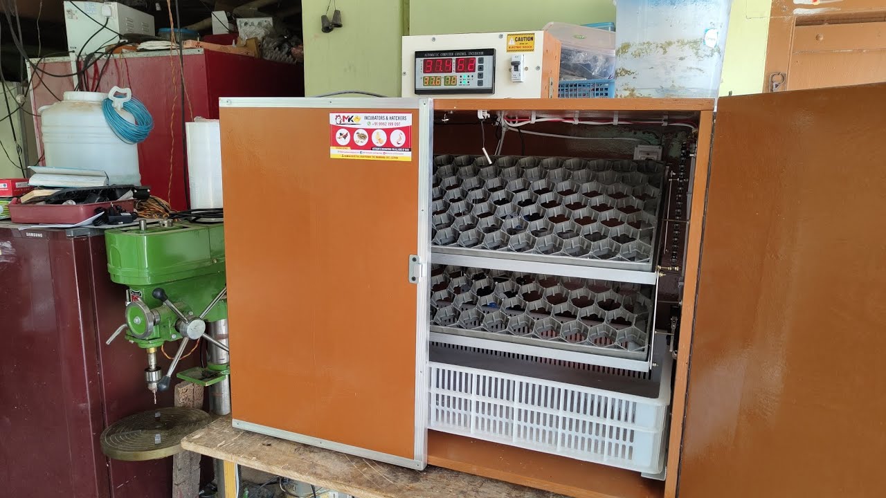#incubator #incubatorintamil #நாட்டுக்கோழிபண்ணை