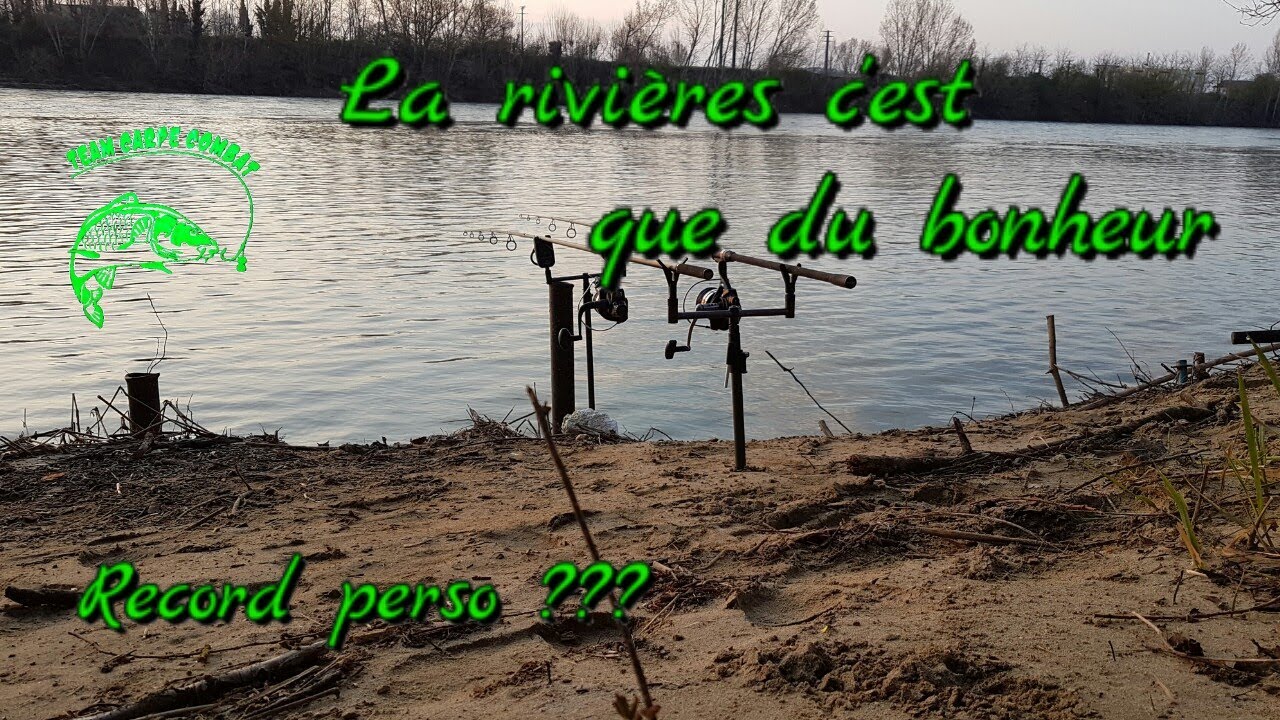 Pêche de la carpe à Garonne plus record perso