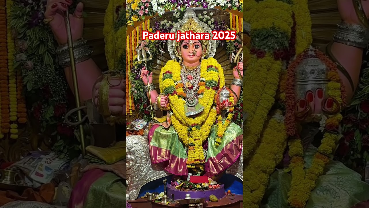 Srinidhi kondamma festival 2025 #paderufestival #paderu #ytshorts