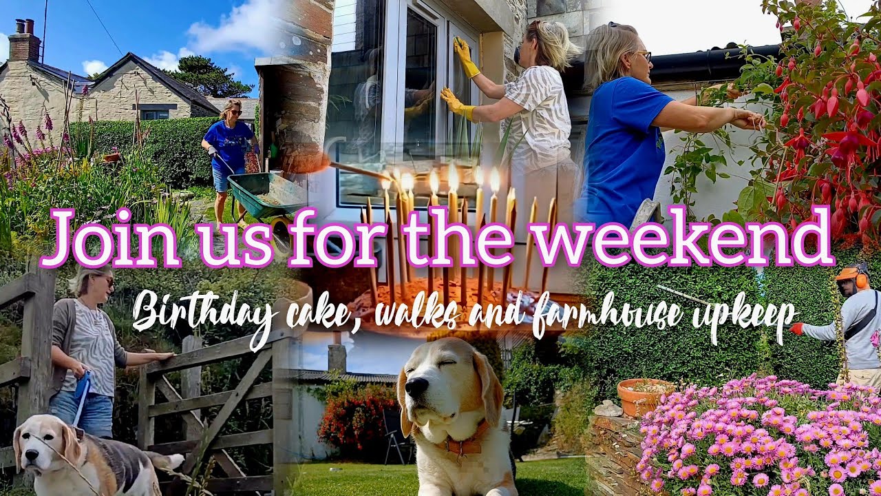 Birthday celebrations/chocolate cake baking/window cleaning/garden upkeep #garden #vlog #asmr #cake