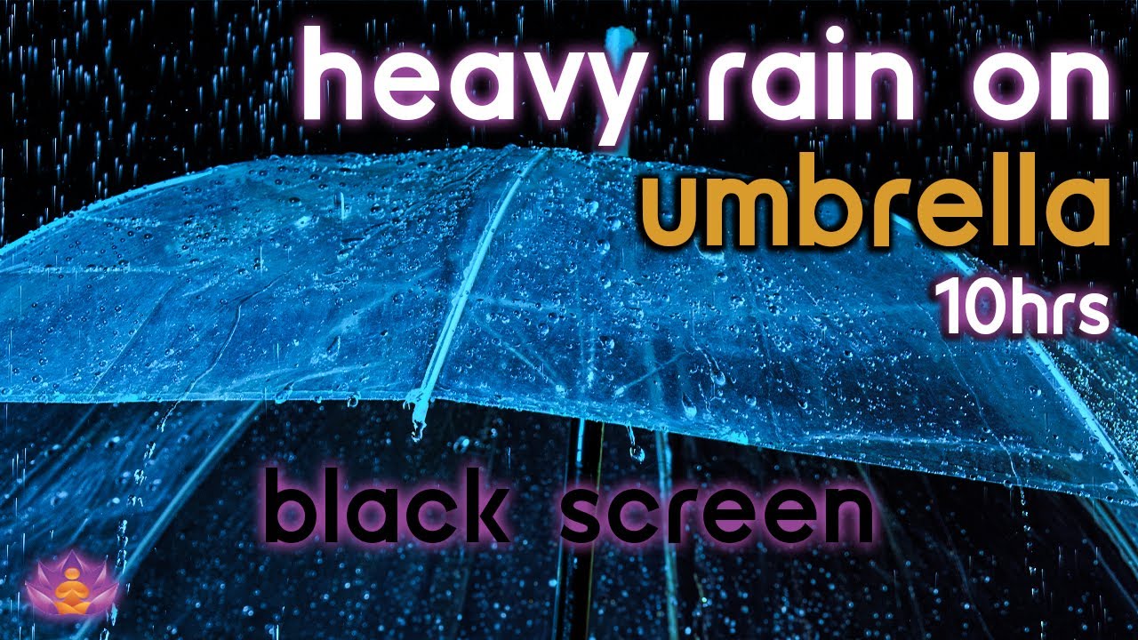 [Black Screen] Heavy Rain on Umbrella No Thunder | Rain Sounds for Sleeping