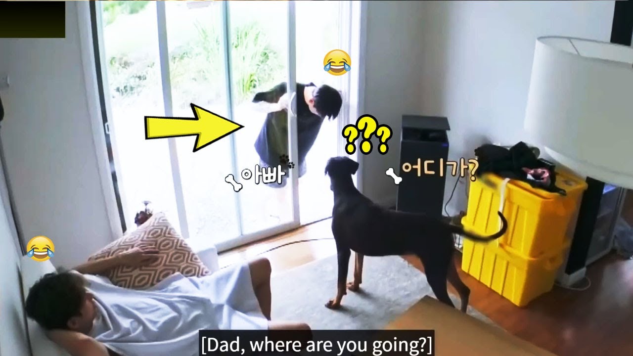 BTS with animals (Cute moments)