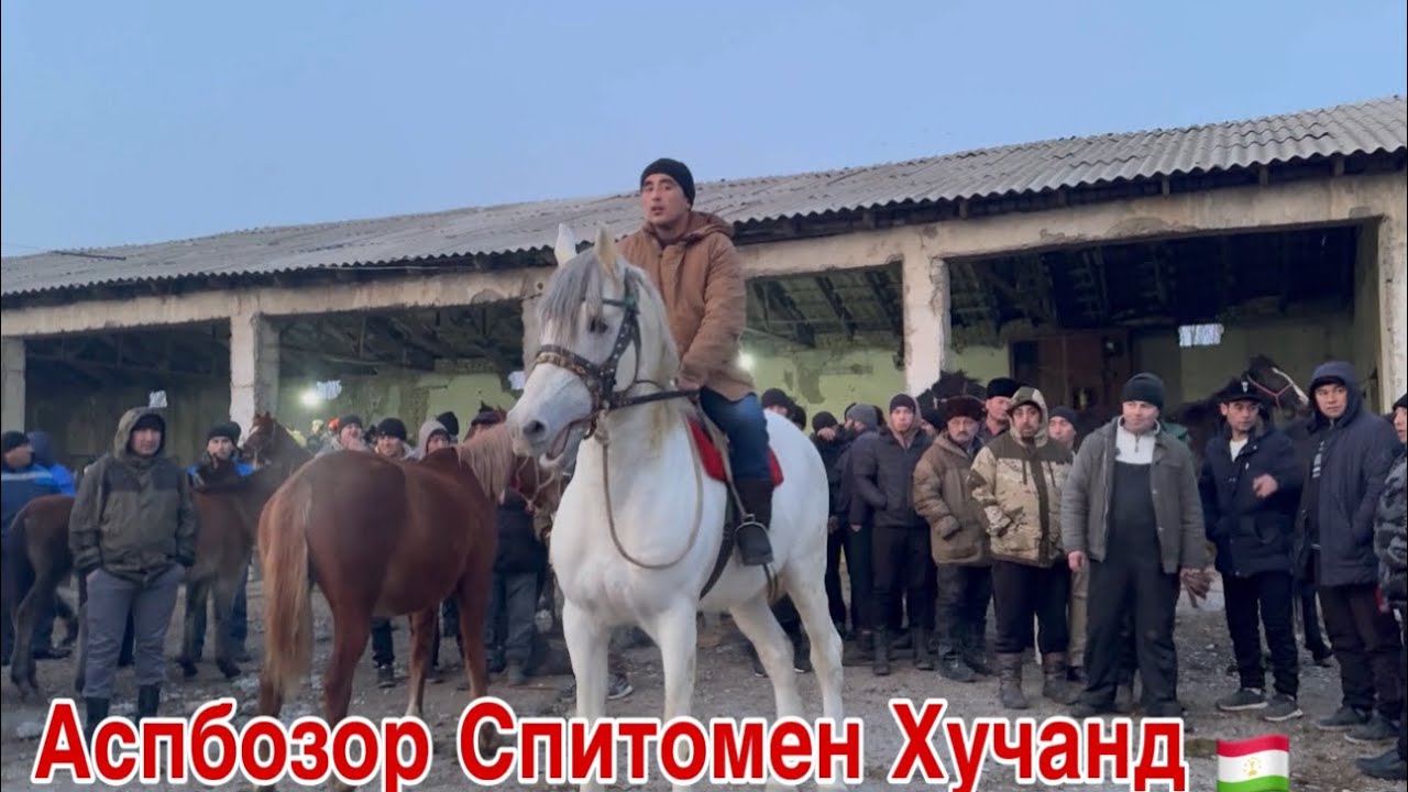 Аспбозор Иброхим Полвон 21 января 2024 г.