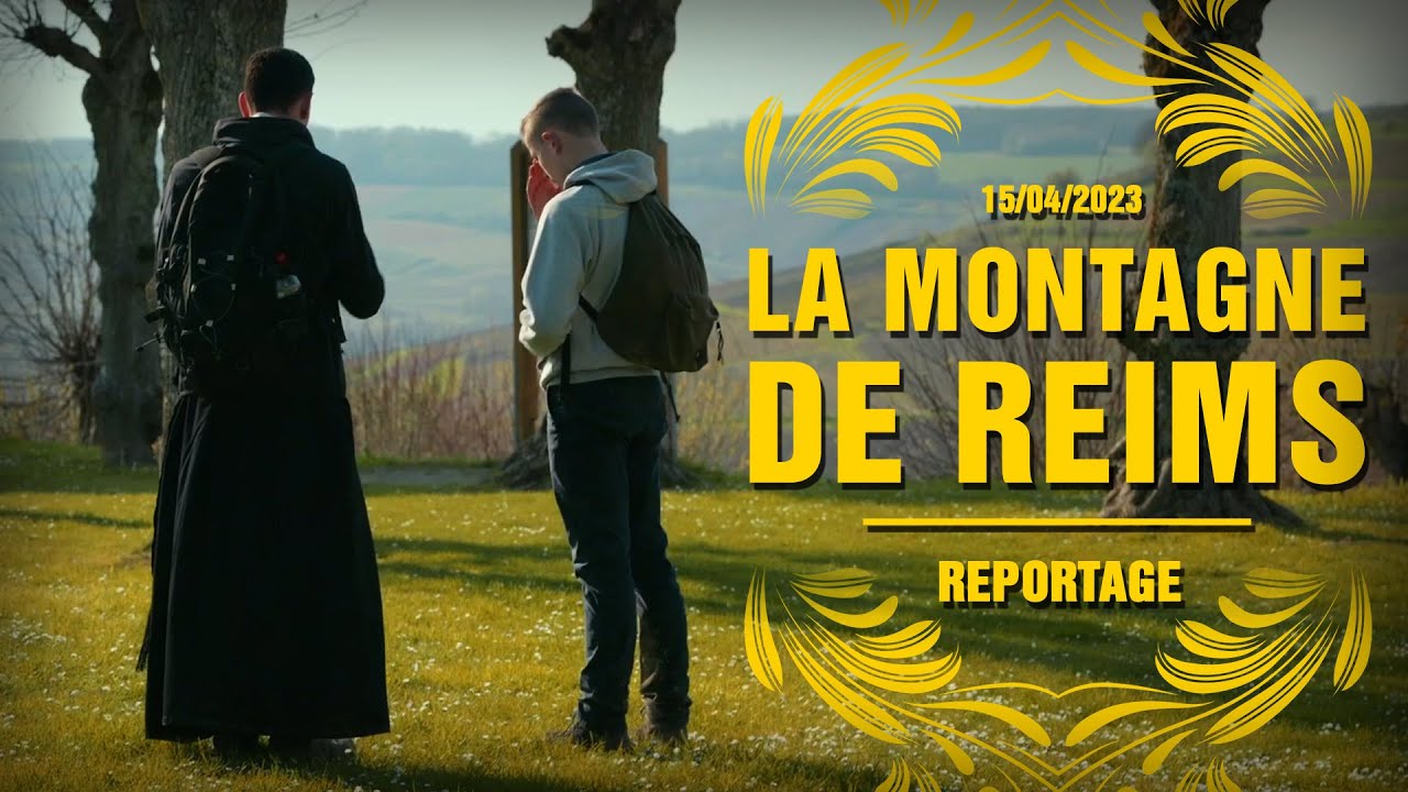 La Montagne de Reims - Reportage