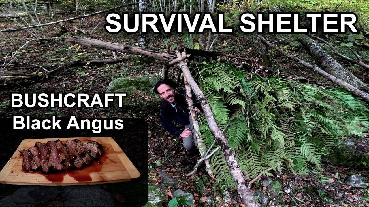 Primitive Shelter + Grilled Black Angus Steak-Solo Overnight in the Forest