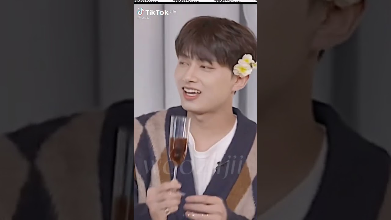 SEVENTEEN Tiktok I found on my fyp (4)